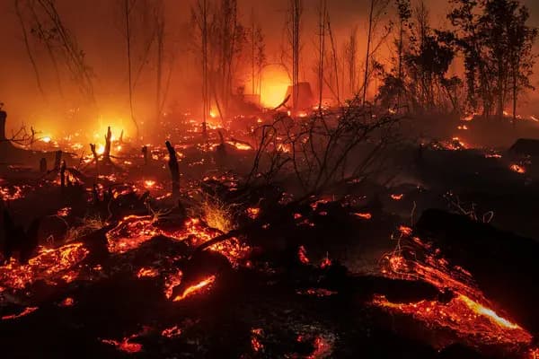as the world burns: finding hope in a fascist era